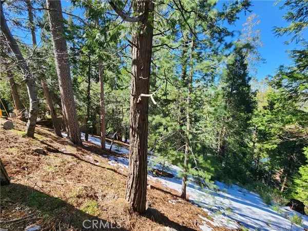 26236 Boulder Lane, Twin Peaks, CA 92391