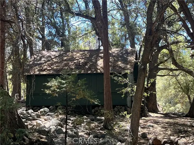 7 Oak Court  #78, Angelus Oaks, CA 92305 - #3