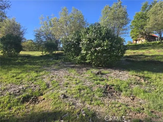 29783 Redwood, Cedar Glen, CA 92321 - #1