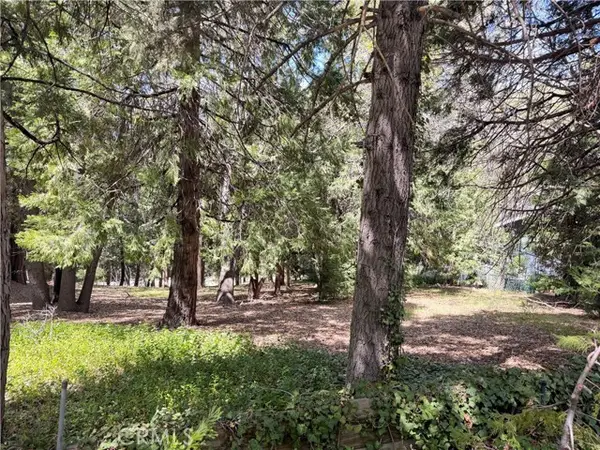 0 Cumberland, Lake Arrowhead, CA 92352