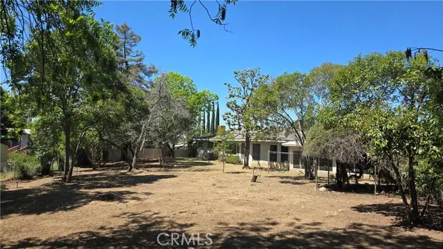 11817 Peach Tree, Yucaipa, CA 92399 - #3