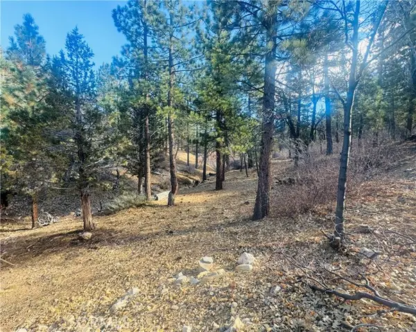 899 Kern Avenue, Sugarloaf, CA 92386