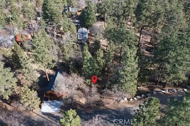 899 Kern Avenue, Sugarloaf, CA 92386 - #2