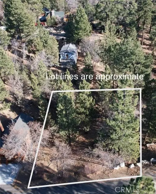 899 Kern Avenue, Sugarloaf, CA 92386 - #3