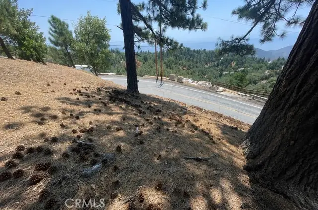 0 Live Oak Dr, Running Springs, CA 92382 - #3