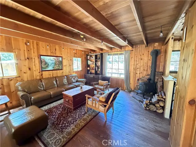 42 South Fork Trail, Angelus Oaks, CA 92305 - #2