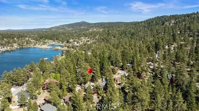 769 Lowe Drive, Big Bear Lake, CA 92315 - #3