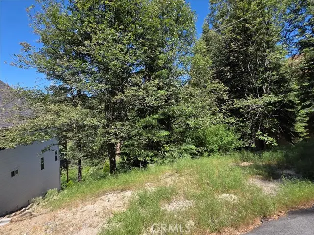 0 Shenandoah Drive, Lake Arrowhead, CA 92352 - #3