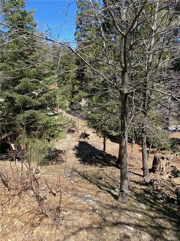 0 Circle, Cima, CA 92323