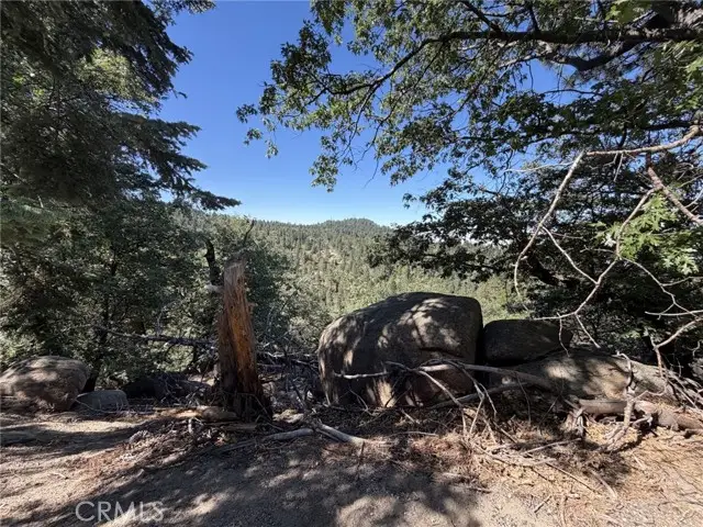 2755 Valkyrie, Running Springs, CA 92382 - #3
