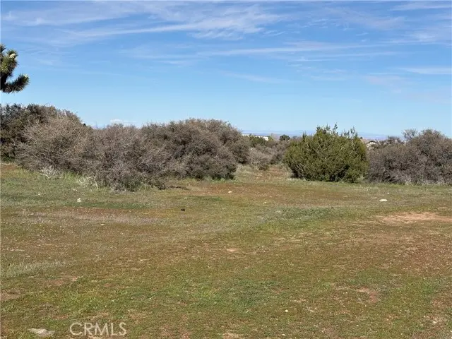 8350 Cedar, Phelan, CA 92371 - #3