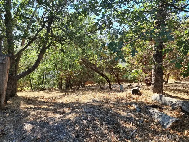 1248 Glacier Drive, Lake Arrowhead, CA 92352 - #2
