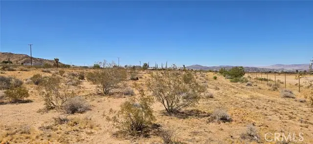 55785 New Dixie Mine, Landers, CA 92285 - #1