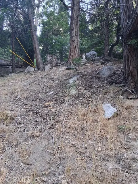 6 Finhaut Drive, Crestline, CA 92325