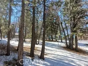 0 Columbine, Big Bear City, CA 92314