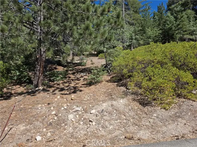 2419 Pine Drive, Running Springs, CA 92382 - #2