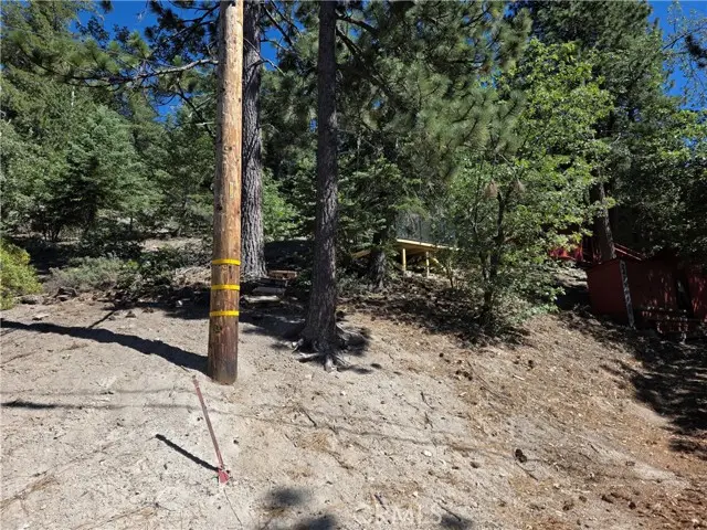 2419 Pine Drive, Running Springs, CA 92382 - #3