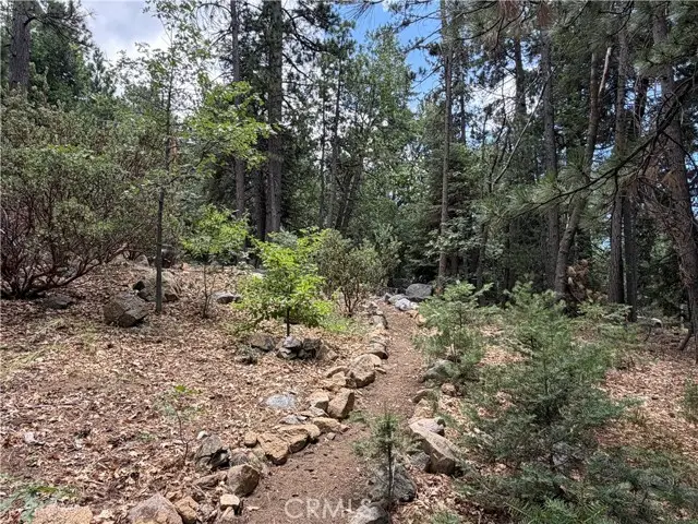 6212 Oak Avenue, Angelus Oaks, CA 92305 - #3