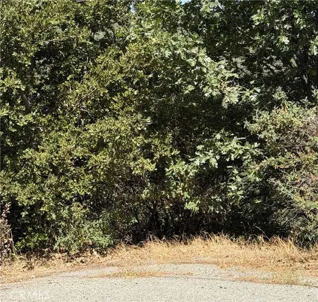 0 Brentwood, Lake Arrowhead, CA 92352 - #3