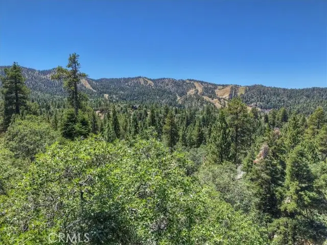 0 Sheephorn Road, Big Bear Lake, CA 92315 - #3