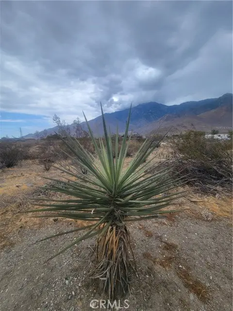 0 Panorama Drive, WHITEWATER, CA 92282