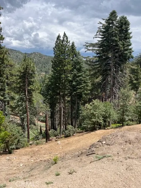 2349 Deep Creek, Running Springs, CA 92382