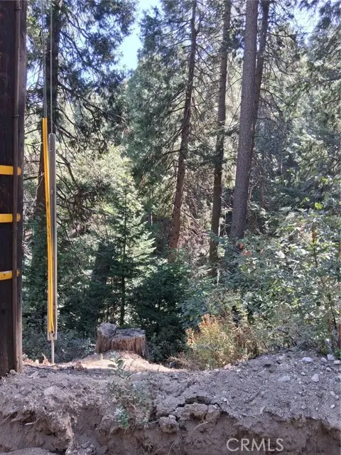 14 Burnt Mill Canyon Road, Cedarpines Park, CA 92322 - #3