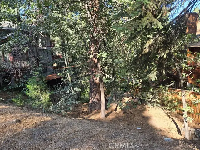 0 Secret Drive, Running Springs, CA 92382 - #1
