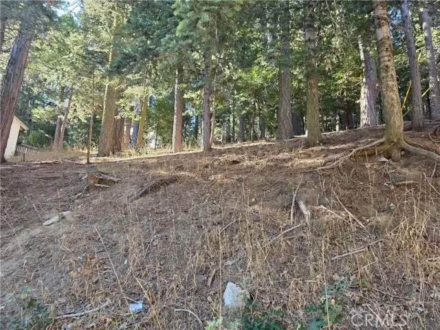 0 Altdorf, Crestline, CA 92325 - #1