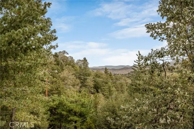 1284 Cortina, Lake Arrowhead, CA 92352 - #3