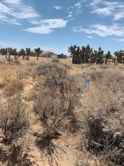 0 Tumbleweed, Phelan, CA 92371