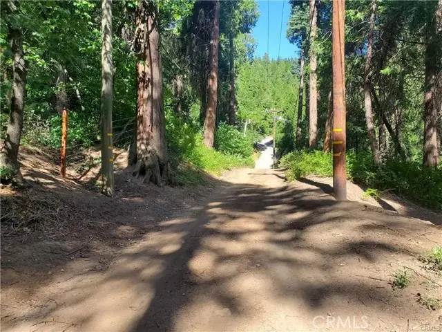 47 El Valle, Cedarpines Park, CA 92322 - #3