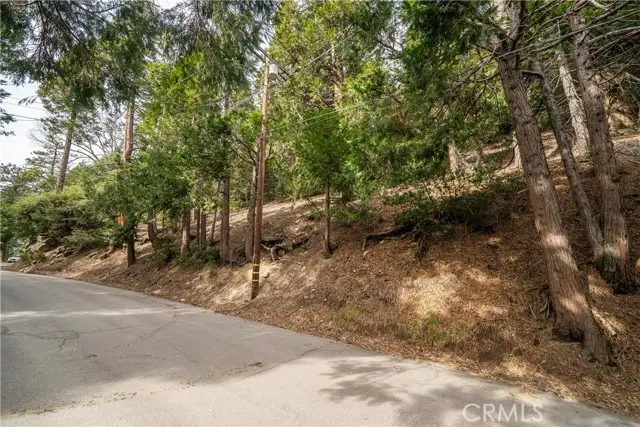 0 Valle Drive, Crestline, CA 92325 - #3