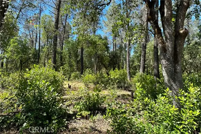 9200 Silver King Road, Redding, CA 96001 - Image #3