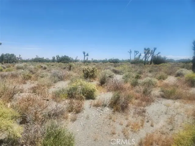 0 Minero Road, Pinon Hills, CA 92372 - #3
