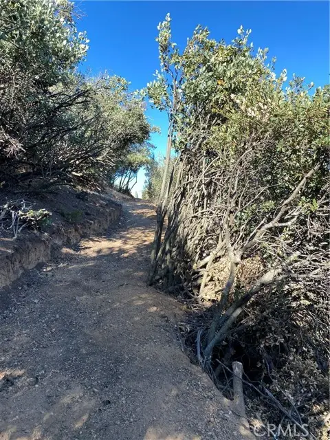 37342 Pisgah Peak Road, Yucaipa, CA 92399 - #3