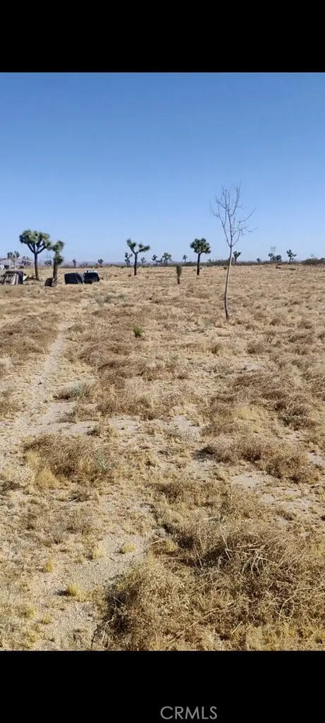6800 South Street, Phelan, CA 92371 - #2