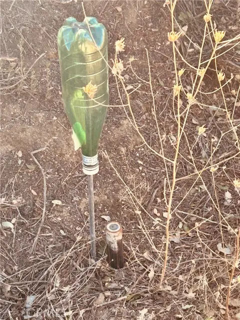 37551 Pisgah Peak Road, Yucaipa, CA 92399 - #2