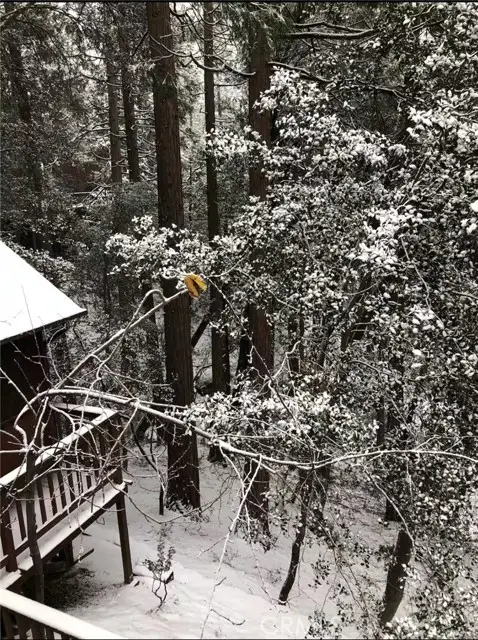 25370 Point Of Rocks Road, Idyllwild, CA 92549 - Image #3