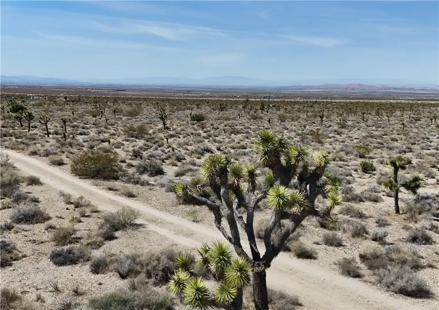 0 Avenue X 8, Llano, CA 93544 - #2