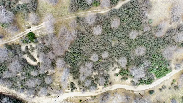 0 walnut, Cedar Glen, CA 92321 - #2