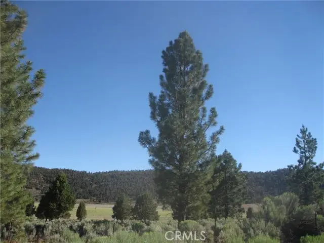 2805 Cedar Lane, Big Bear City, CA 92314 - #1