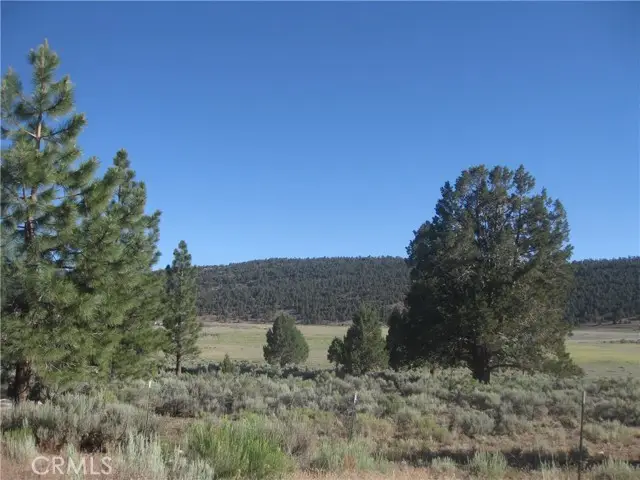 2809 Cedar Lane, Big Bear City, CA 92314 - #3