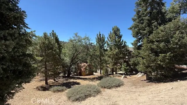 0 Piedras Grande, Green Valley Lake, CA 92341 - #2
