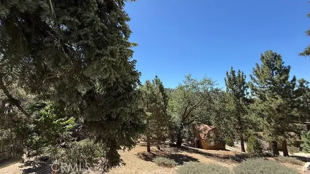 0 Piedras Grande, Green Valley Lake, CA 92341 - #3