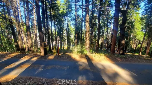 26 Peak Circle, Cedarpines Park, CA 92322 - #1