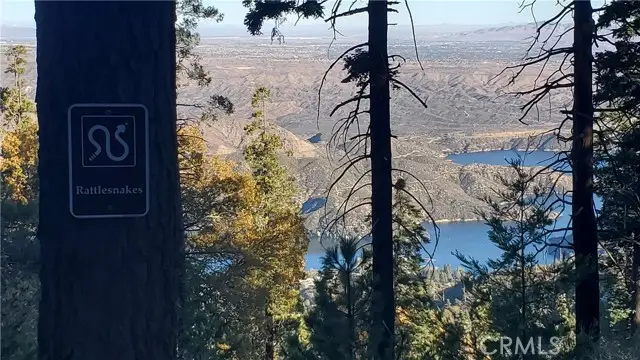 26 Peak Circle, Cedarpines Park, CA 92322 - #2