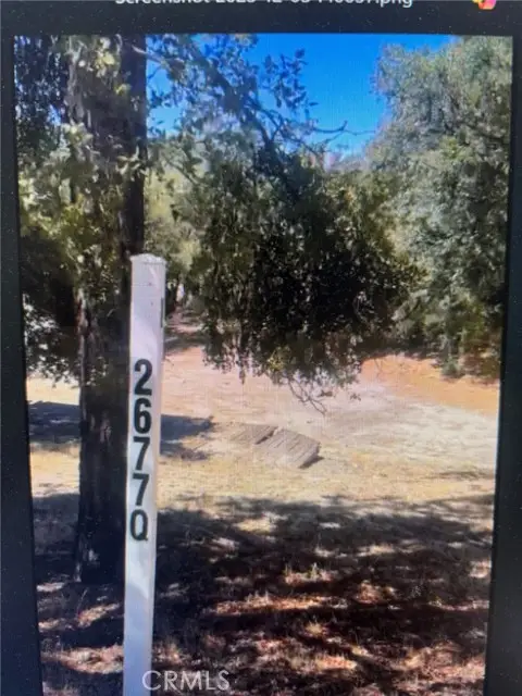 26770 Saunders Meadow, Idyllwild, CA 92549 - #1