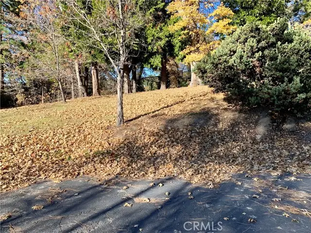 40 Park, Running Springs, CA 92382 - #2