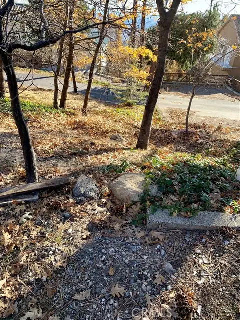 40 Park, Running Springs, CA 92382 - #3